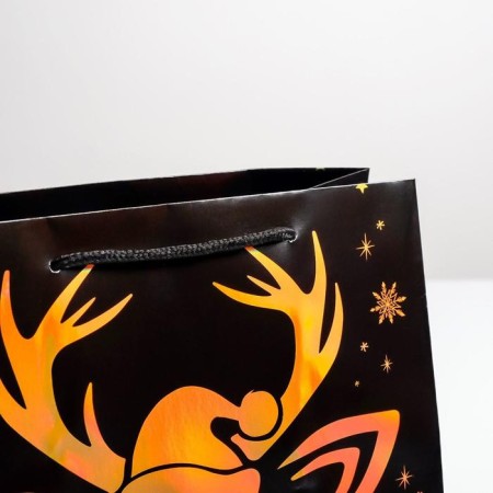 Packet Holography Vertical "New Year", Ml 23 x 27 x 11.5 cm, New Year-2
