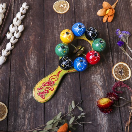 Musical instrument Marakas with balls and plates rainbow 25x13x5 cm mix-9