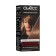 SYOSS Color hair coloring, tone 6-8, dark bluish