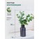 Flower composition "Eucalypt" in a bottle vase, green color / chocolate