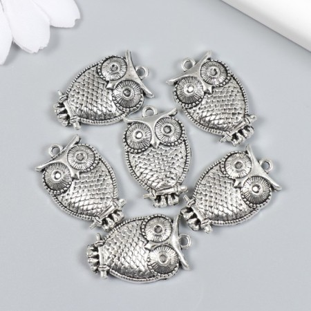 Decor for creativity Metal "Evil on a branch" set 6 pcs silver 1.8x2.9 cm-2