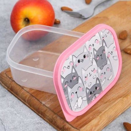Rectangular “cats” lunch-bex, 500 ml-1