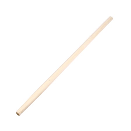 Stalk birch 120 cm x 40 mm aircraft