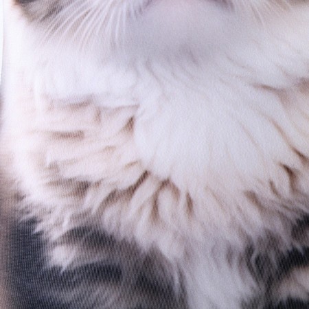 Antistress toy "Siberian cat"-3