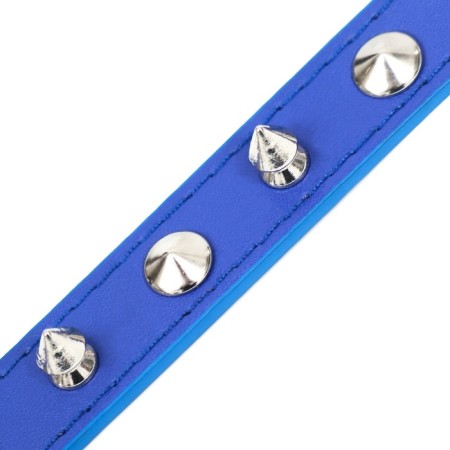 Collar "Lyon" with spikes 45 x 2 cm, Osh 34-40 cm, artificial leather, blue-5