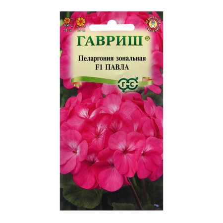 Pavel Palargonia seeds, F1, 4 pcs.