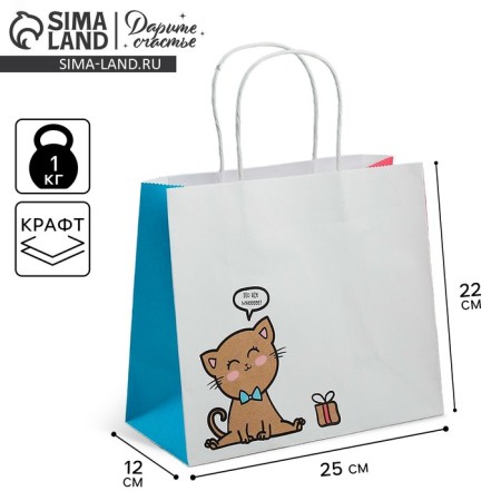 Gift Crafts, Packaging, Kitty, 25 x 22 x 12 cm