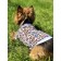 T-shirt with cuffs for dogs "Leopard", size 35 (DS 35 cm, OG 43-45 cm), cotton