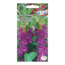 Balzamin Flowers 