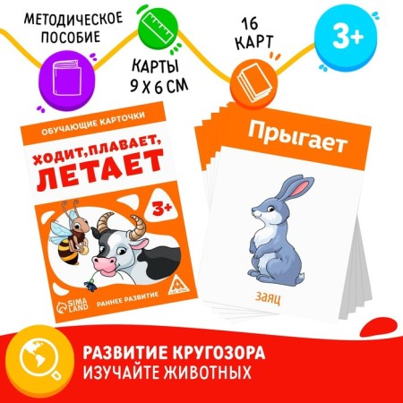 Training cards “Walks, swims, flies”, 16 cards, 3+