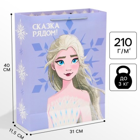 Package Gift "Fairy Tale near" 31x40x11 cm, packaging, cold heart