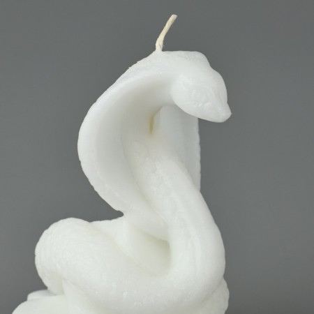 New Year 2025! Interior candle “New Year's collection: snake on coins”, white, 78 x 61 x 52-5