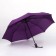Automatic "Casper", windproof, 3 additions, 8 spokes, r = 49 cm, color mix