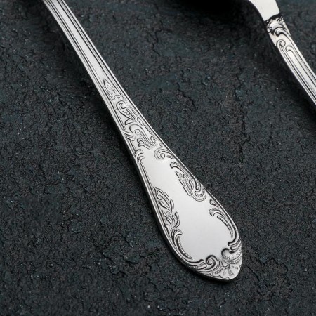 A teaspoon "Ambassador", h = 14.5 cm, thickness 2 mm, silver color-1