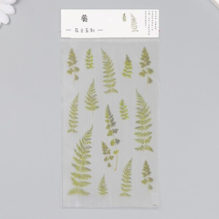 Stickers for creativity plastic "Fern" 21x10.5 cm-2