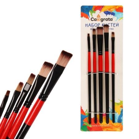 Set of brushes, nylon, flat, 5 pieces, straight-2