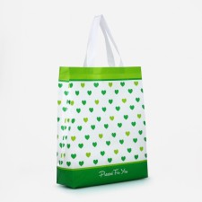 Household bag without fastening, green color