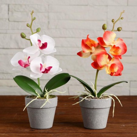 The composition in the pot "Orchid" 7x23 cm, mix-2