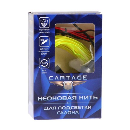 Cartage neon thread for lighting salon, feeder 12 V, 5 m, lemon-4