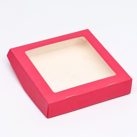 Container for removal, coral, 20 x 20 x 4 cm-1