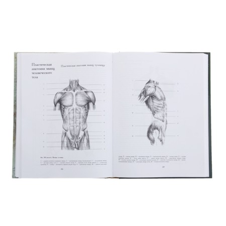 Fundamentals of educational academic drawing. Lee N.G.-2