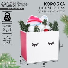 Box for mini-boots 