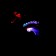 Dinosaur "Dragon", works on batteries, light and sound effects, red color