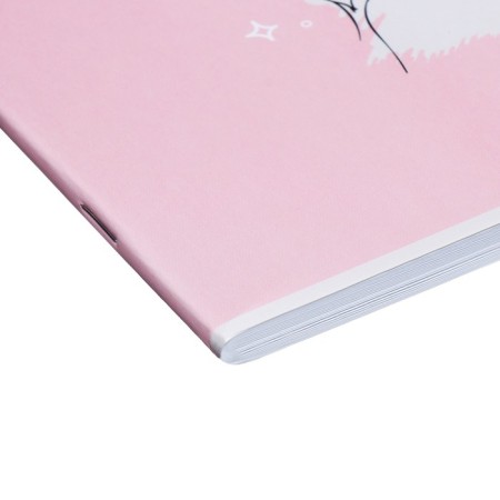 Album for drawing A4, 40 sheets on the clip "My day", cover cardboard, offset 100 g/m2, mix-6