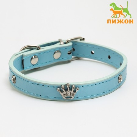 Collar "crown" with metal decor and rhinestones, 36 x 1.4 cm, Osh 24-31, blue