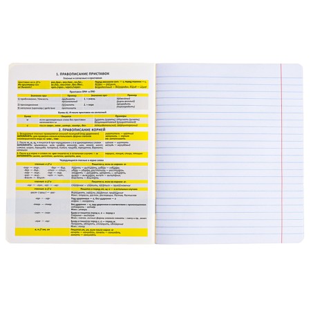 A set of subject notebooks 48 sheets, 12 pieces, Erichkrause "BENFORMED", plastic cover silk-screen cover, OFSET BELICE 100%, info block-15