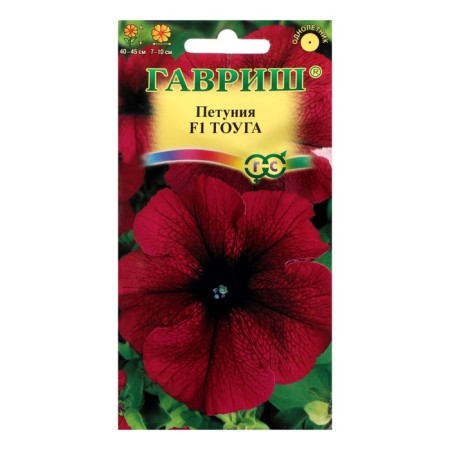 Flowers of Petunia "Touga F1", large -flowered, granulate, test tube, 7 pcs