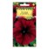 Flowers of Petunia "Touga F1", large -flowered, granulate, test tube, 7 pcs