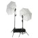 Constant Light Set Falcon Eyes Minilight 245-Kit LED