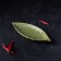 Ceramic serving dish "Dender", 20.5 × 8.5 × 1.5 cm, green color
