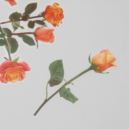 Plastic stickers "Flowers and quotes. Yellow-orange" set 12 pcs 8.5x21.5x0.2 cm-2