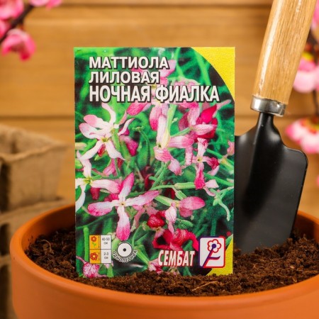 Flower seeds of mattiol lilac (night violet), 0.5 g-2