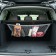 Luggage grid for mounting cargo Airline, pocket, 30 x 70 cm