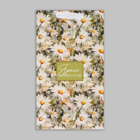 Gift package for two bottles, packaging, “bright moments”, 35 x 20 x 9 cm-7