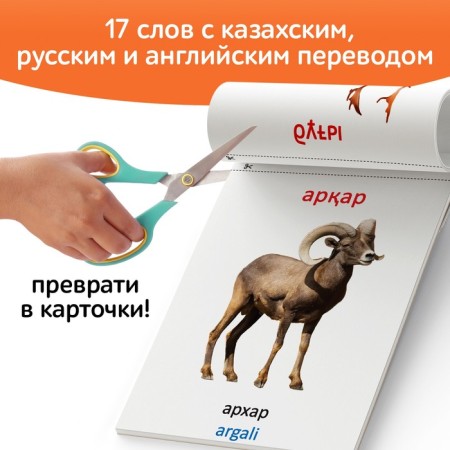 Book on the methodology of G. Doman "Wild Animals", in the Kazakh language-3