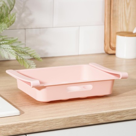 Shelf for eggs in the refrigerator, suspended, 12 cells, 26 × 17 × 5 cm, color mix-7