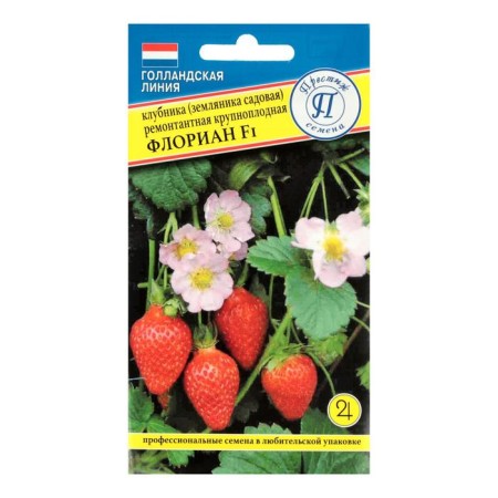 Florian strawberry seeds F1. 5 pieces