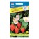 Florian strawberry seeds F1. 5 pieces