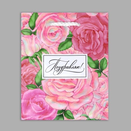 Gift Package Laminated, packaging, “Congratulations”, S 12 x 15 x 5.5 cm-6