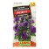 Eustoma flower seeds Rosie F1 lavender-blue large-flowered terry, 5 pcs.