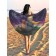 Pareo and beach rug "Magic Cosmos", d = 150 cm