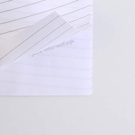 MIX of A6 notebooks, 12 sheets "Beasts"-6