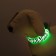 Collar with backlight tiger 3 glow modes Size S, Osh 22-40 x 2.5 cm Green