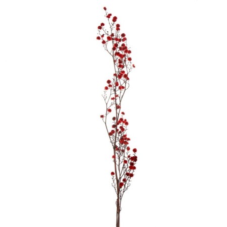 Dry flowers “Molchy Mile”, 25 g, length - 70 cm, red color-2