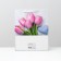 Laminated package, 26 x 32 x 12 cm