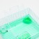 Cell for rodents "Pijon", 31 x 24 x 17 cm, green